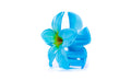 BLUE FLOWER LARGE CLAW CLIP